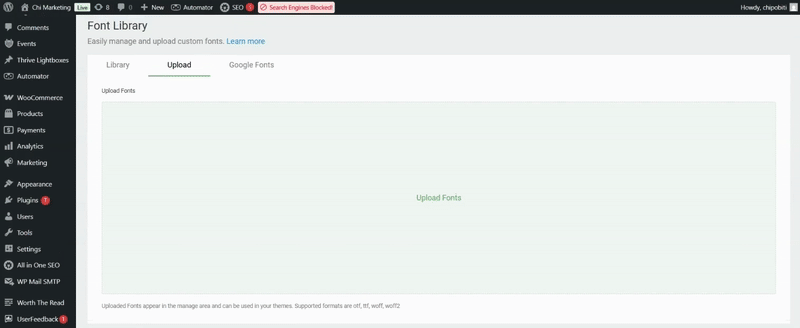 Upload Custom Fonts in a Click