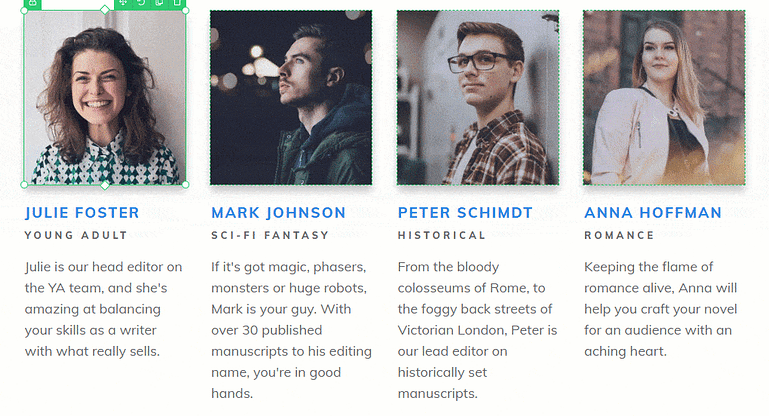 WordPress Team Page - Group Editing Editing multiple elements with group styling