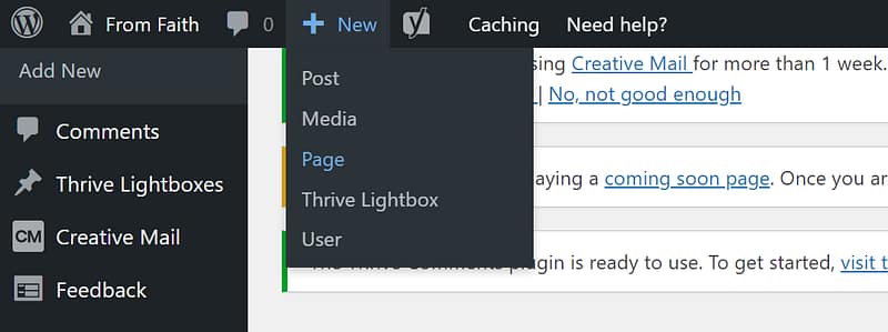 New Page Adding a new page in WordPress