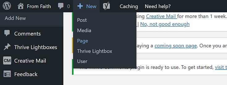 New Page Adding a new page in WordPress