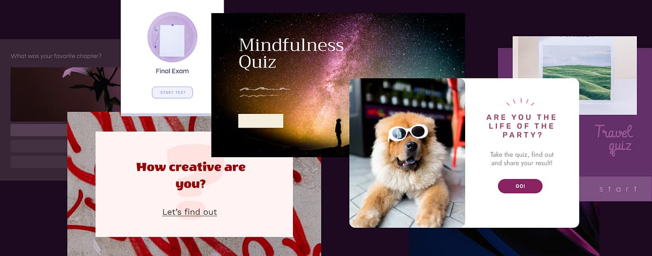 wordpress-quiz-builder WordPress quiz builder examples