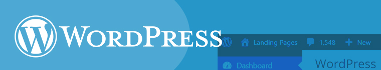 In-Content-Blog-Image_02 WordPress