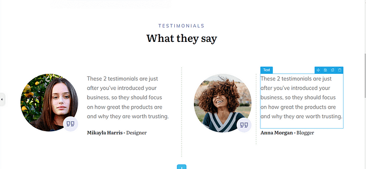Screenshot of a Social Proof section on a Landing Page