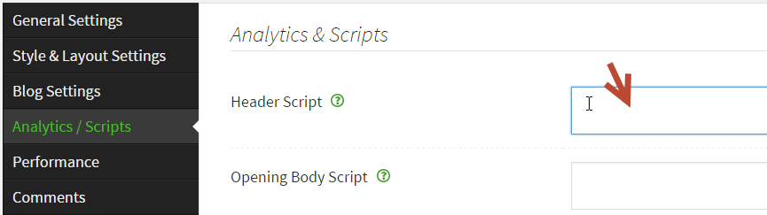 theme_options_header_scripts