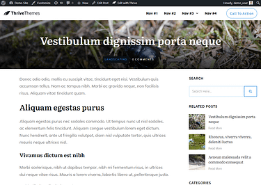 Webflow vs WordPress - post in live website Publishing a post in WordPress